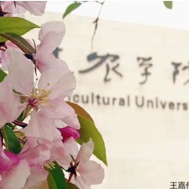 喜报！我校荣获天津市文明校园荣誉称号