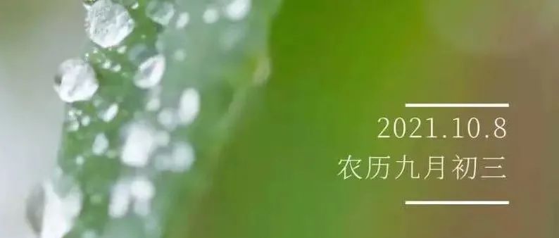 节气说 | 九月寒露白