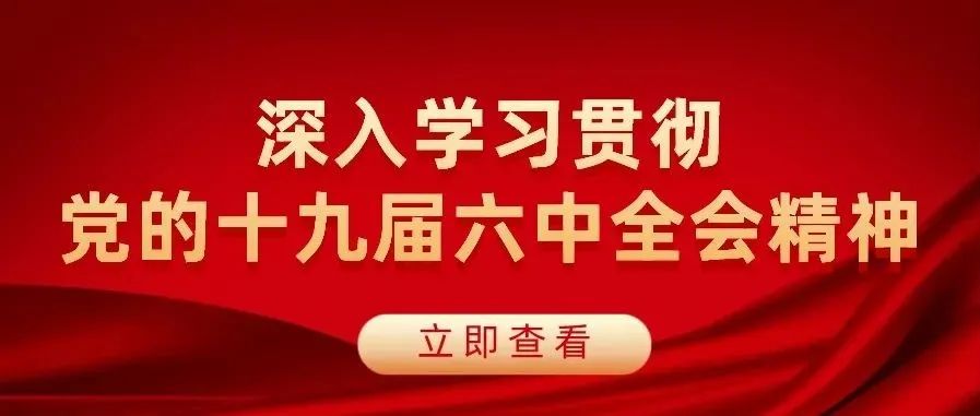 党的十九届六中全会精神，轻大人这样学！