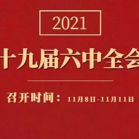 深刻领会党百年奋斗的历史经验——论学习贯彻党的十九届六中全会精神