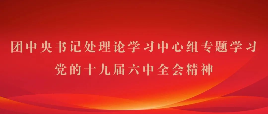 团中央书记处理论学习中心组专题学习党的十九届六中全会精神