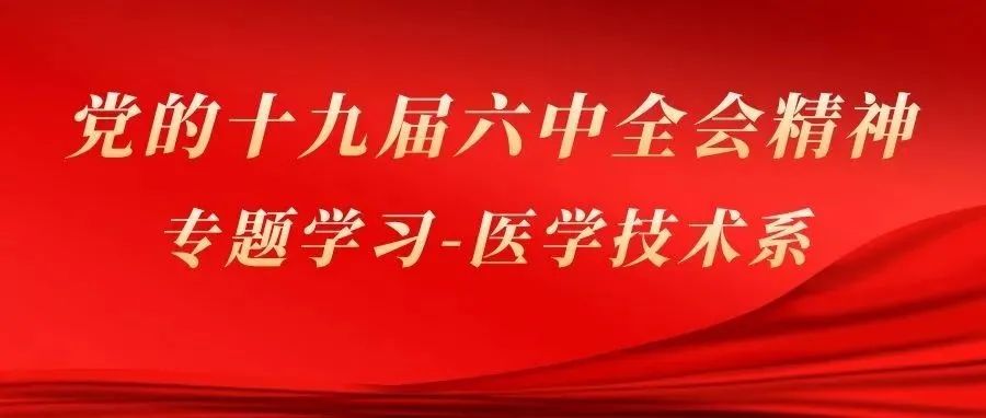 医学技术系党总支组织学习党的十九届六中全会精神