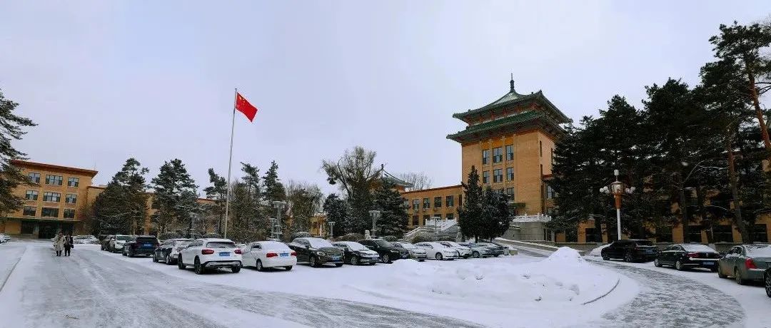 小雪遇大雪，牵念暖人心