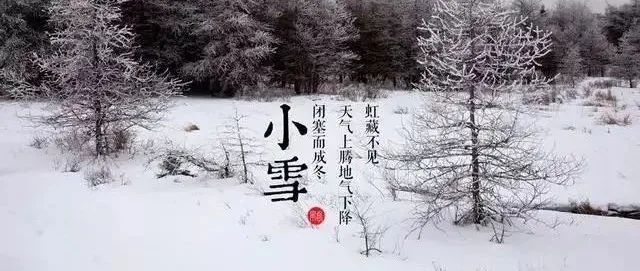 小雪已至，愿生活有味安暖