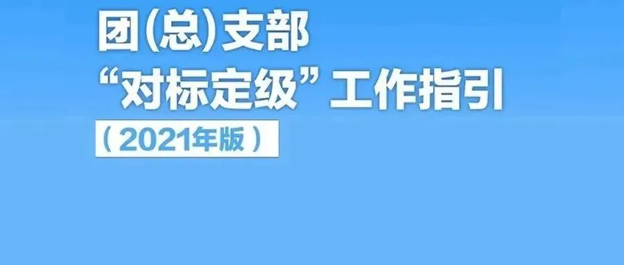 一图读懂！《团（总）支部“对标定级”工作指引（2021版）》