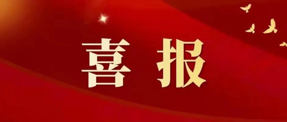 喜报！|我校师生在第十六届全国高校心理委员工作研讨会中喜获佳绩！