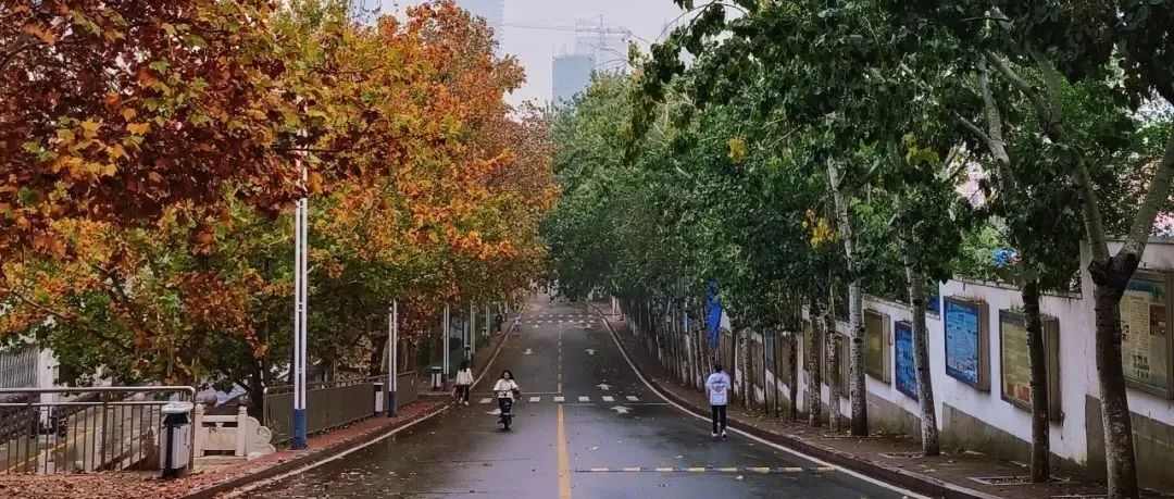 把实事办到群众心坎上