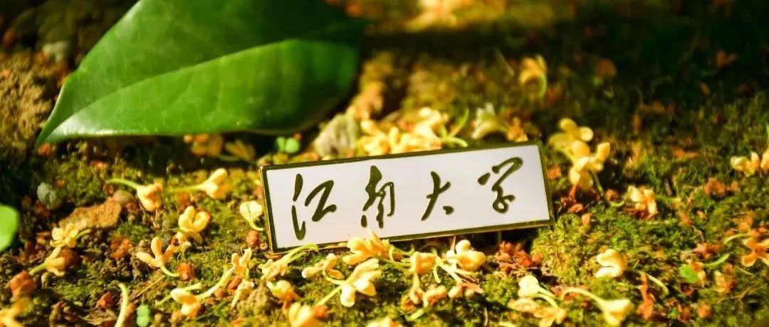 秋天的江南，空气都是桂花味的~