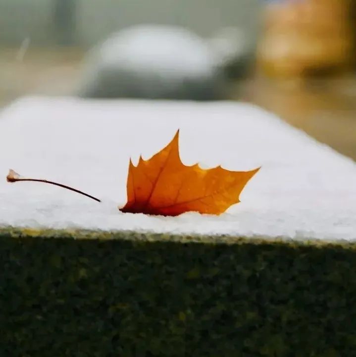 冬之伊始 初雪将至