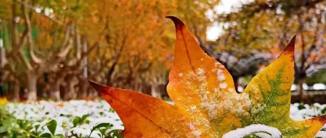 惊艳！当最美大学遇见初雪