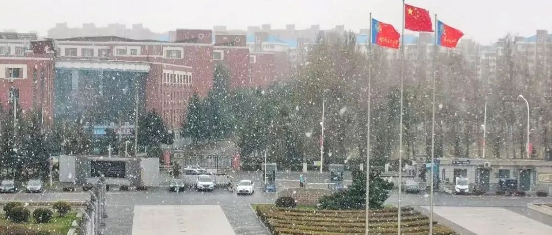 立冬｜强雨雪！寒潮！你需要这份入冬指南