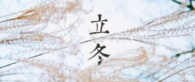 小伙伴们，立冬第一场雪来啦