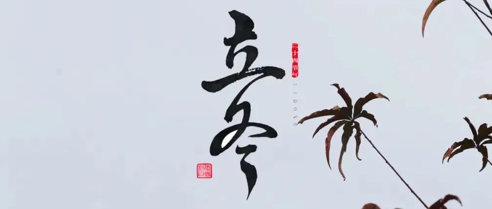 二十四节气 · 立冬｜细雨生寒未有霜，庭前木叶半青黄