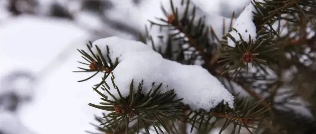 当深秋的落叶与立冬的初雪深情相拥，来看力明美景