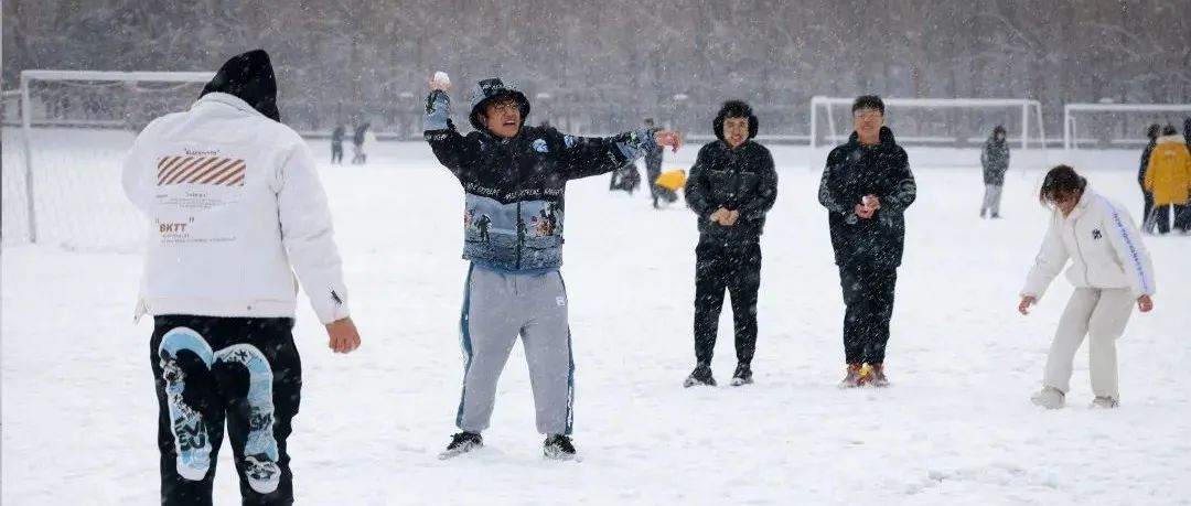 映像沈工⑲ | 雪下得那么深！下得那么认真！