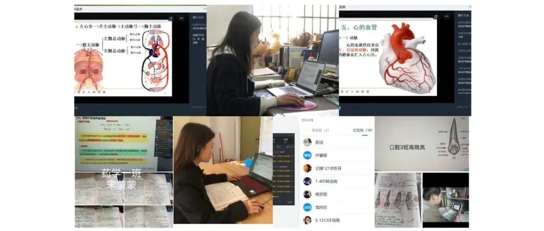 抗疫进行时||郑州黄河护理职业学院迅速启动线上教学工作应急预案