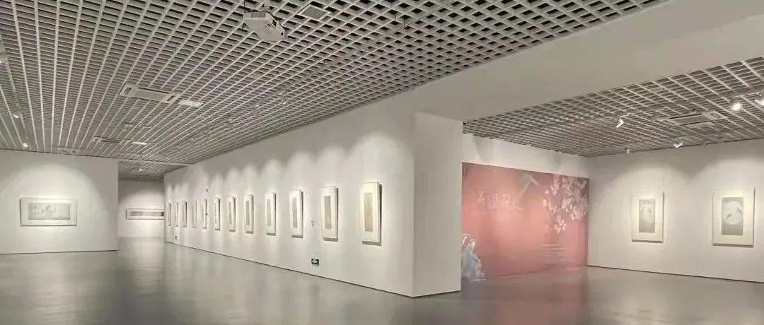 《满径花色——韩非工笔画作品展》亮相南京大学