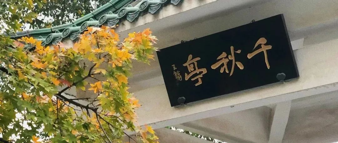 山政，生日快乐