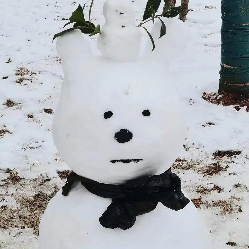 【三一职院雪景】让我们一起看看哪个小可爱的雪人最好看？