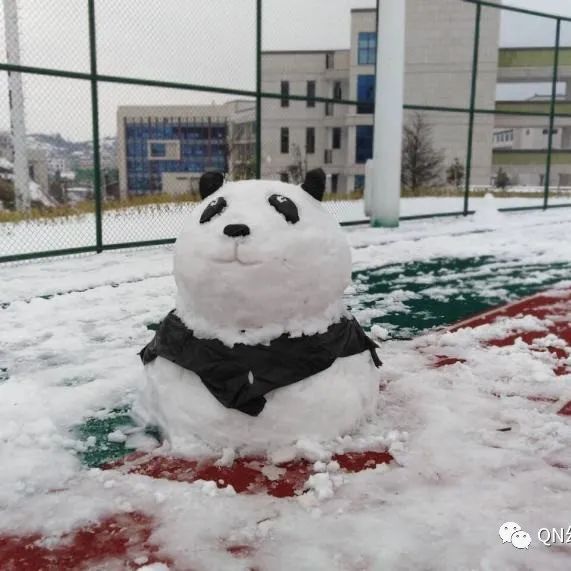 初雪|在幼专与雪色撞个满怀