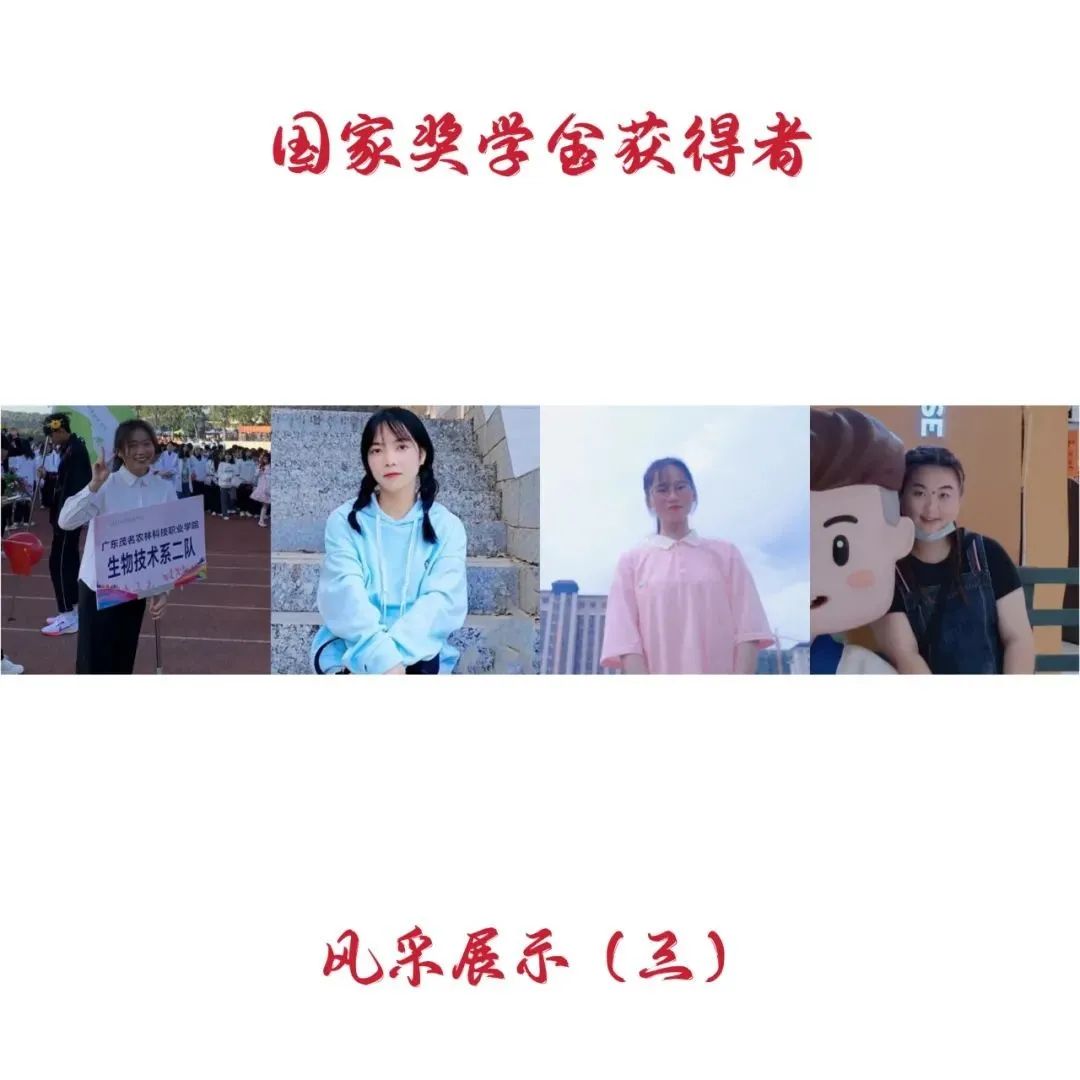 以梦为马，不负韶华 | 国家奖学金获得者风采（三）