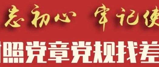 《十九大党章知识精粹》系列微动漫第九集——《党的建设五项基本要求》