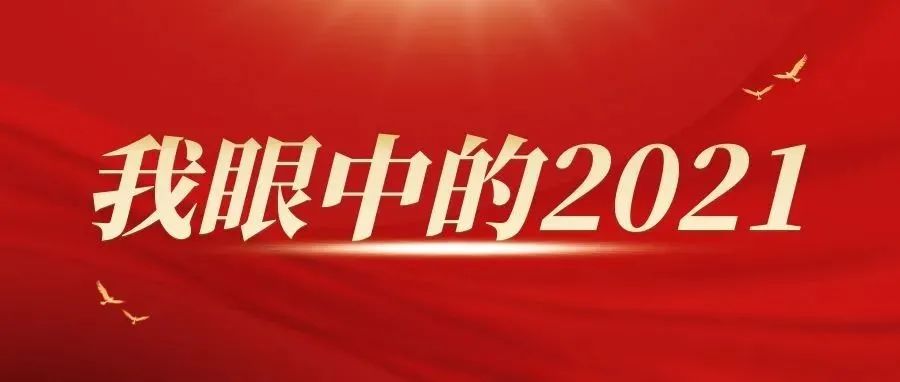 我眼中的2021