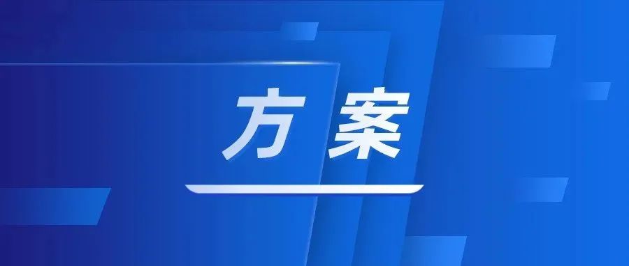 重磅！事关学校劳动教育、体育、美育，山东印发重点任务和分工方案！