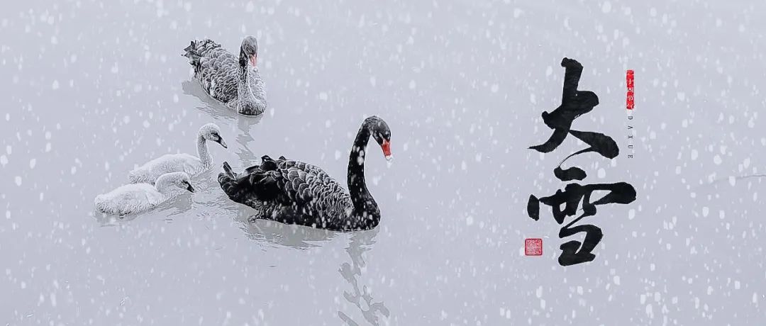 大雪|景美情长，雪落成诗