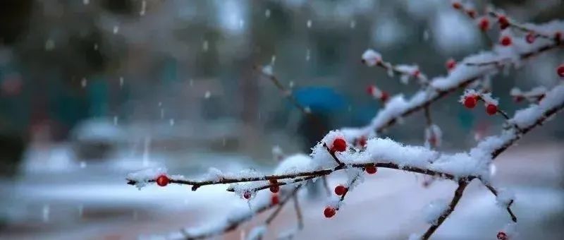 今日大雪 | 有你在就是暖冬