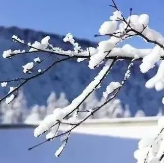 《黎大版大雪应对指南》