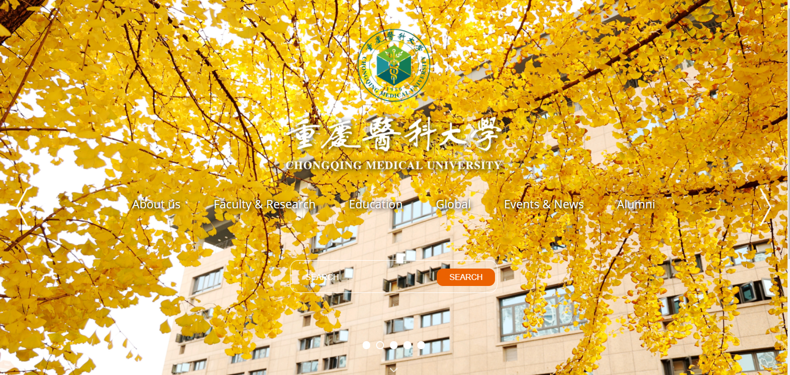 改版焕新！重庆医科大学英文官方网站升级上线