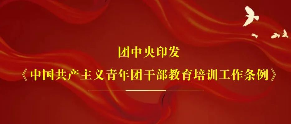 团中央印发《中国共产主义青年团干部教育培训工作条例》