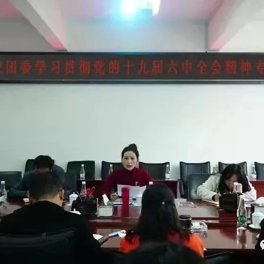 校团委召开学习贯彻党的十九届六中全会精神专题会