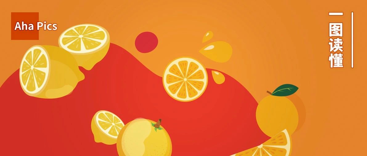 橘子、橙子、柚子……谁才是其中的水果之王？