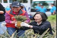 “吃凤梨”，大陆暂停进口台湾菠萝，蔡英文放“大招”
