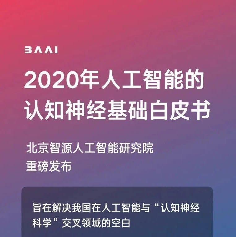 【重磅收藏】智源发布《人工智能的认知神经基础白皮书》