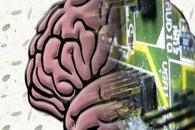 AI如何帮助我们理解意识——麻省理工最新大脑研究