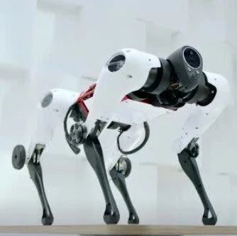 腾讯机器人家族再添一员：会“拜年讨红包”的机器狗你见过吗？