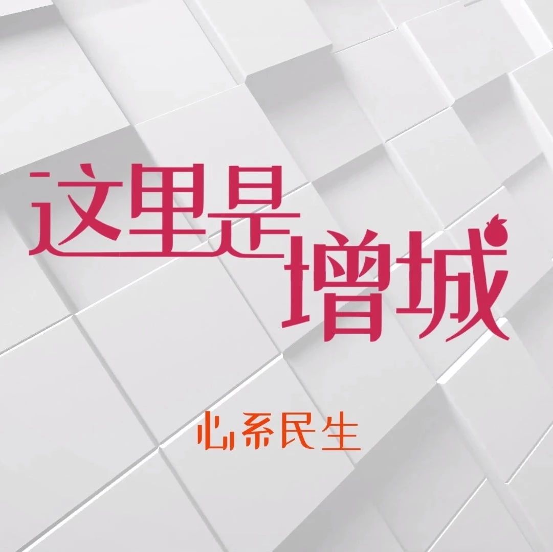 这里是增城 | 心系民生 情暖万家