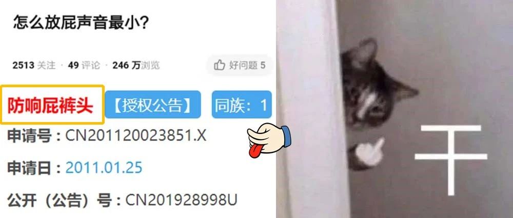 靠！研究放屁还能注册专利？