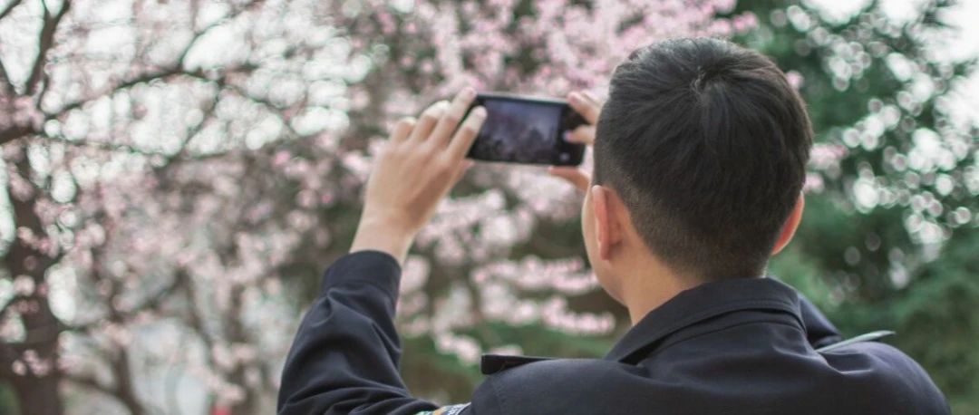 春日惊池，溅起阵阵桃花浪| 警院赏花图鉴