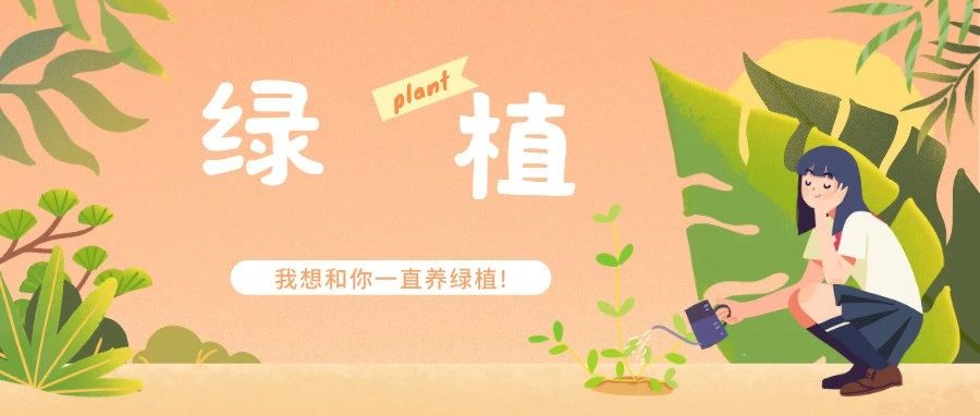 这个春天，绿植属于你！