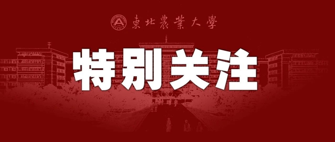 【聚焦教代会】开启新征程 作出新贡献——我校代表热议教代会