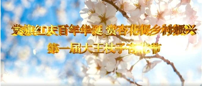 学院扶贫点大王杖子乡举办第一届杏花节，驻村扶贫工作队助力乡村全面振兴