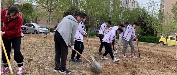 劳动最光荣，奋斗正青春 | 语言文学系开展大学生劳动教育实践活动