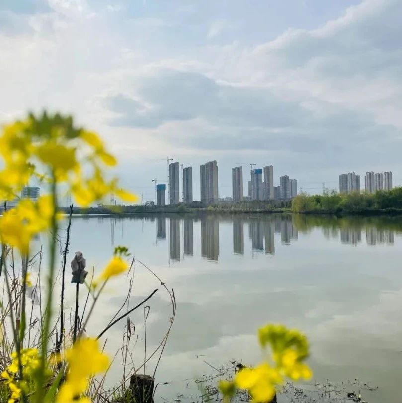 武汉环湖打卡秒出圈，一键get朋友圈春日大片！