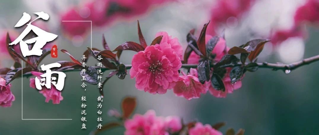 工院节气 | 雨生百谷，春夏交替