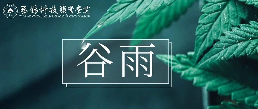 谷雨时节，雨生百谷