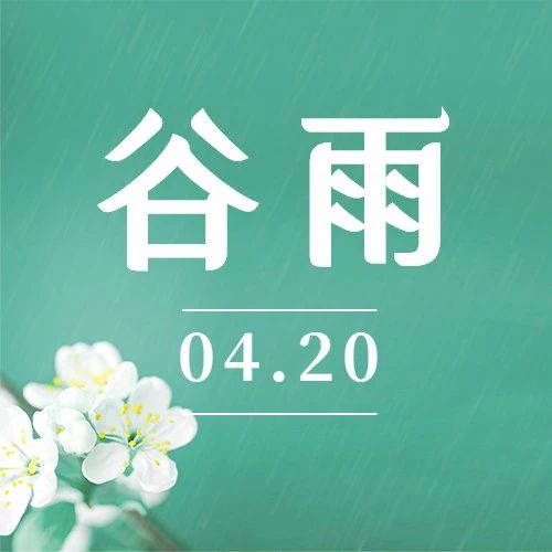 谷雨 | 百谷生 万物鲜 最美人间四月天